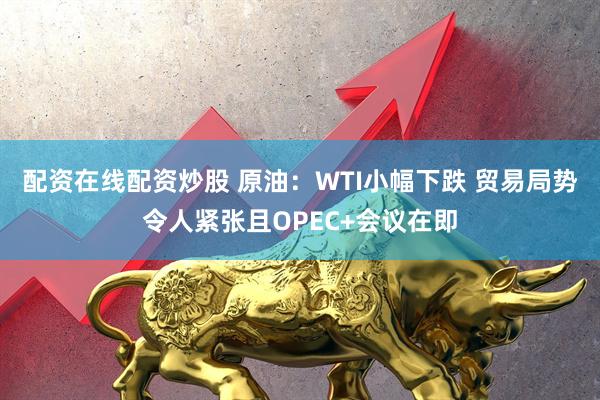 配资在线配资炒股 原油：WTI小幅下跌 贸易局势令人紧张且OPEC+会议在即
